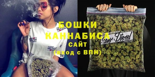PSILOCYBIN Лагань