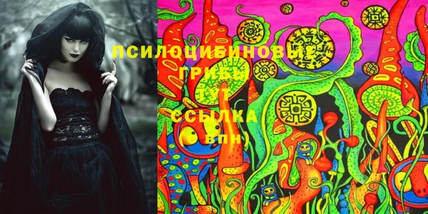 дурь Абаза